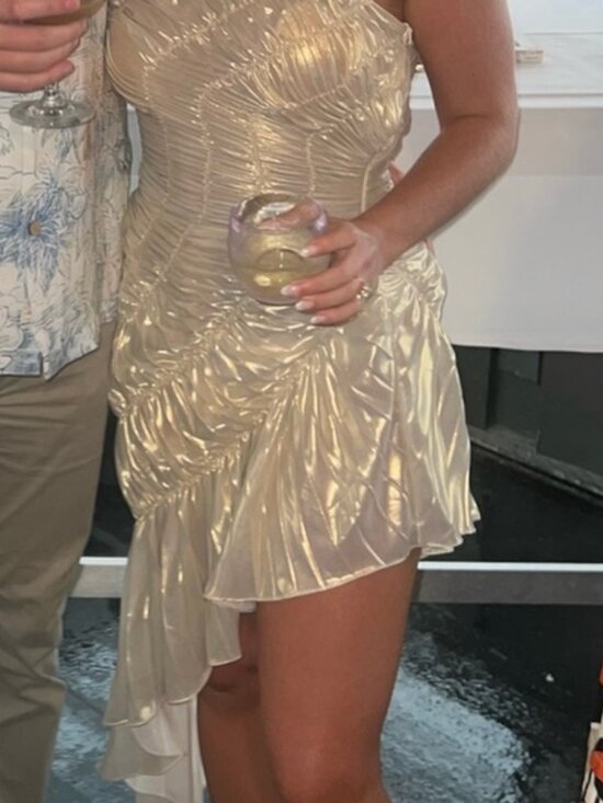 Georgia Hardinge “The Impression Dress” in Metallic Ivory - Picture 7 of 7